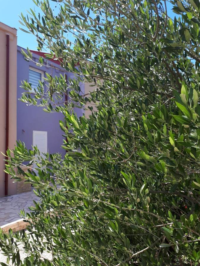 Amanda C Leilighet Starigrad Paklenica Eksteriør bilde
